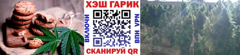 Canna-Cookies марихуана  Купить закладки  Мценск 