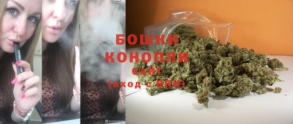 меф Ельня