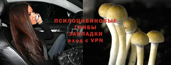Альфа ПВП Елизово