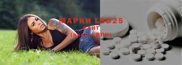 Альфа ПВП Елизово