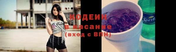 меф Ельня