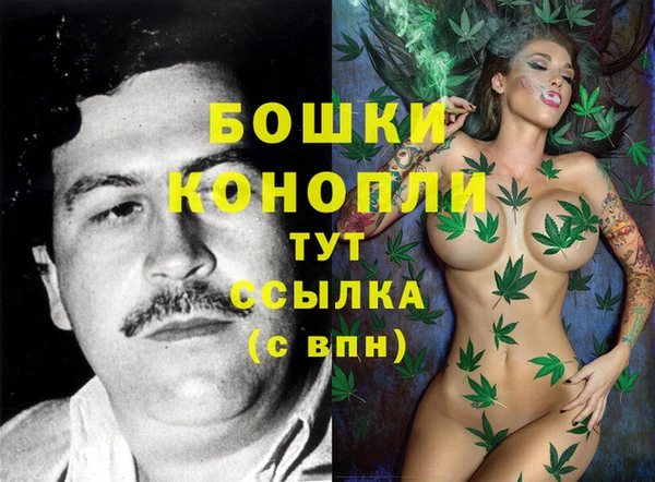 меф Ельня