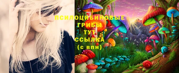 меф Ельня
