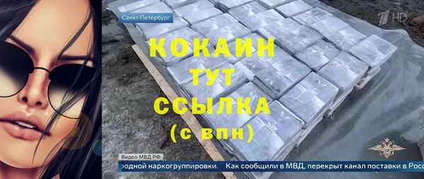 меф Ельня